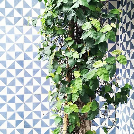 Apartment Pure Chiado